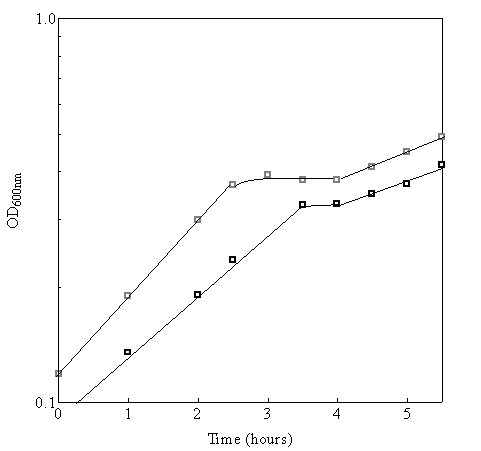 Figure 3-B